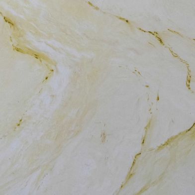 Художественная Венеция