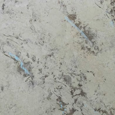 Художественная Венеция